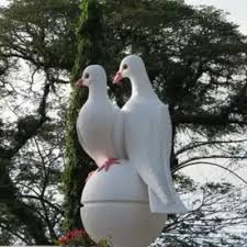 Bagaimanakah jika saya mengalami masalah kesihatan? Pentadbiran Bahagian Sri Aman On Twitter Sila Hubungi Pejabat Kesihatan Bahagian Sri Aman Di Talian 083 323869 Untuk Sebarang Pertanyaan