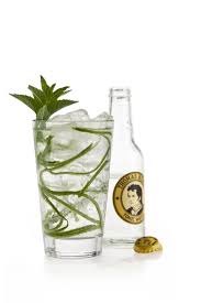 Garden Tonic 5 Cl Monkey 47 Gin 3 Dashes The Bitter Truth Celery Bitters 3 Dashes Maraschino Likor 15 Cl Thomas Henry Ton Gin And Tonic Perfect Drinks Gin