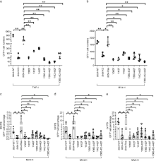 Since we don't collect that information, search ads on duckduckgo are based on the search. Lilrb4 Itims Mediate The T Cell Suppression And Infiltration Of Acute Myeloid Leukemia Cells Cellular Molecular Immunology