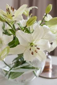 While the lotus plant has a preeminent place in the symbolism of many eastern religions, could there also be a spiritual significance to this. 11 Symbolic And Biblical Meaning Of Lily Ideas Lily Easter Lily Christian Prints