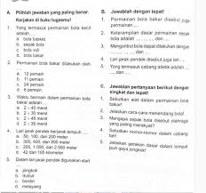 Pertanyaan tentang bola kasti dan bola bakar. Mohon Bantuannya Brainly Co Id