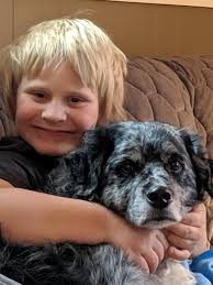 If you have little ones then you know about the" Elf" our puppy took over  the Elf 🤦🏽‍♀️