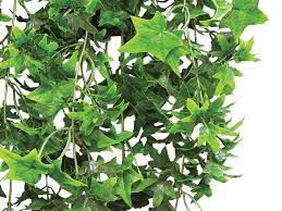 Check spelling or type a new query. English Ivy Vine Decorative Outdoor Artificial Vines Commercial Silk
