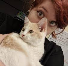 Pet health clinic is dedicated to providing the highest level of veterinary medicine along with friendly, compassionate. Contact Our Easton Veterinarians At Pet Health Clinic