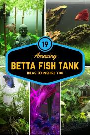 Cool Betta Fish Tank Ideas 19 Beautiful Designs To Inspire You Betta Fish Tank Betta Fish Betta Fish Care