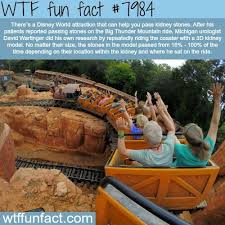 Disney World Helping Pass Kidney Stones Haha Fun Facts Wtf Fun Facts Disney Fun Facts
