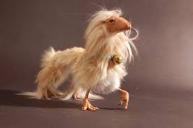 Weird Animals Weird Animals Animals Unusual Animals