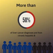 © international agency for research on cancer 2020. The Link Between Hepatitis B And Liver Cancer Hepatitis B Foundation