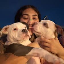 Where to find a ComPac Picnic Cat sailboat for sale in Florida?