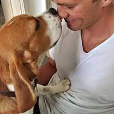 What S All The Fuss About Tom Brady Signing With Tampa Bay Buccaneers Oh Yeah He S A Dog Lover Welcome Home Tom Brady Tom Brady And Gisele Celebrity Dogs