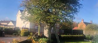 Four seasons lawn care is tampa's destination for expert lawn care. Four Seasons Tree Services Across Suffolk And Cambridgeshire