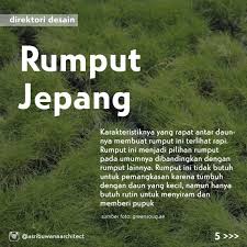 Mulai dari perawatan berkala, desain dan jenis rumput hias yang diinginkan, tentunya disesuaikan dengan iklim tempat tinggal anda. Jenis Rumput Halaman Rumah
