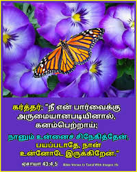 Pin On Bible Verses In Tamil