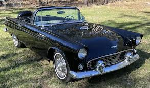 Image result for Raven Black 1956 Thunderbird