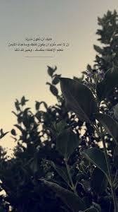 pin by أسماء عباد on سناب موضي البليهد life quotes wallpaper beautiful arabic words funny arabic quotes