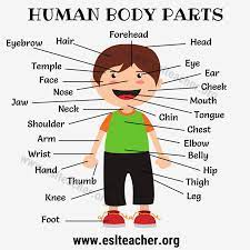 Pin On English Vocabulary