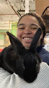 Emma's Fly to the Finish