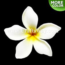 Get your business supplies in bulk and at a great, low price 365 days. 3 5 Foam Plumeria Type Pi Craftsway Llc Artificial Flowers Crafts Items