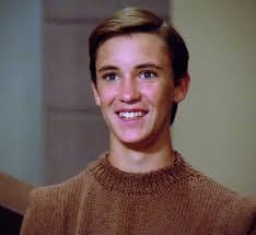 Wesley Crusher -Love her still