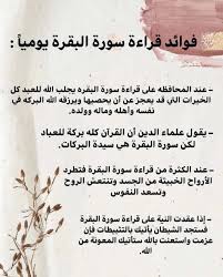 pin by demelza on سورة البقرة