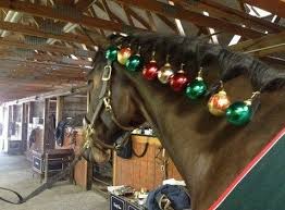 The Top 10 Of Anything And Everything Books Videos Gifts Christmas Horses Horse Costumes Horse Braiding