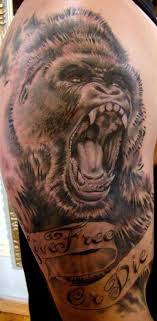 We did not find results for: Great Gorilla Pictures Tattooimages Biz