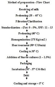 fermented dairy products