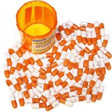 Adderall For A Hyperactive Pet Dog Best Advice