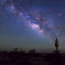 I have spent almost every christmas of my life in the desert. Southwest Christmas Southwestdesertlover