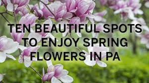 Vacation deals to lincoln university. 10 Beautiful Spots To Enjoy Spring Flowers In Pa Pennlive Com