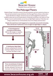 Afbeeldingsresultaat Voor Polyvagal Theory Diagram