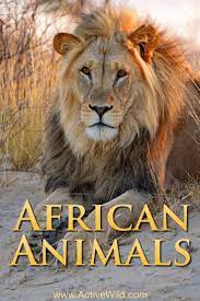 African Animals List With Pictures Facts Information Worksheet African Animals Wild Animals Pictures List Of Animals