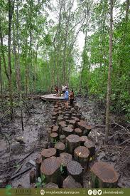 Kesan penerokaan hutan paya bakau 4.1 ketidakstabilan pinggir pantai. Ø¨ÙˆÙ„ØªÙŠÙ† Ø¬ÙˆÙ‡Ø± On Twitter Hanya Di Taman Negara Johor Pulau Kukup Pulau Paya Bakau Terbesar Di Dunia Yang Menjadi Kawasan Perlindungan Yang Penting Bagi Tumbuhan Dan Haiwan Yang Berkaitan Dengan Bakau