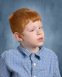 2025 Corridor Heart Walk: Team link seitz