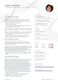 Vp Of Sales Resume Ultimate Writing Guide For 2020 Resume Examples Sales Resume Sales Resume Examples