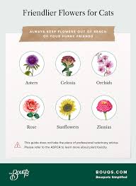 They're a member of the lily family, so it's not surprising that they are also toxic to cats, dogs and horses. List Of Non Toxic Flowers That May Be Safe For Your Pets Bouqs Blog