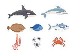 Check spelling or type a new query. Flat Sea Animal Vectors 157649 Vector Art At Vecteezy
