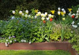 Wenn ihr eine sendung des mitteldeutschen rundfunks verpasst habt, könnt ihr diese online in der mdr mediathek nachholen. Garten Des Jahres 2016