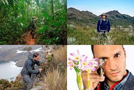 Alexandre antonelli receives funding from the swedish research council, the swedish foundation for strategic research, the knut and alice wallenberg foundation and the royal botanic gardens, kew. Da Unicamp Para O Maior Jardim Botanico Do Mundo Unicamp