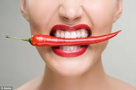Image result for spicy food model