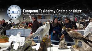 In sport, a championship is a competition in which the aim is to decide which individual or team is the champion. European Taxidermy Championships Www Eurotaxidermy Eu