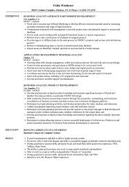 Development Business Analyst Resume Samples Velvet Jobs