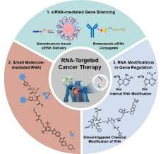 Image result for Targeted Cancer Therapy