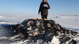 Nika Fontaine video Letter