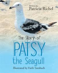 The Story Of Patsy The Seagull Seagull Stories Story
