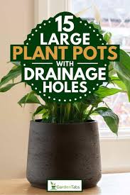 Maybe you would like to learn more about one of these? 15 Large Plant Pots With Drainage Holes Garden Tabs