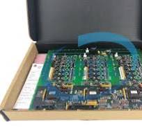 DS200PLIBG2ACA
