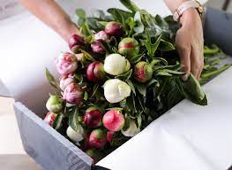 Visit wholesale flowers & supplies to find everything you need. Buy Direct Flower Wholesale In Singapore Dwf Group