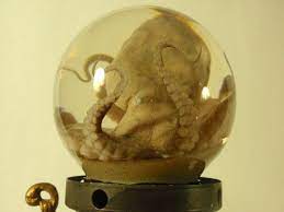 Wet Specimen Octopus In Glass Sphere On Antique Medicinal Vaporizer Wet Specimen Human Teeth Oddities