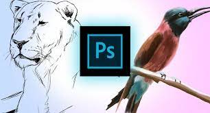 Hold the shift key while dragging to create an equilateral triangle. 2021 Learn How To Draw And Paint In Photoshop Udemy Free Download